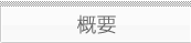 概要