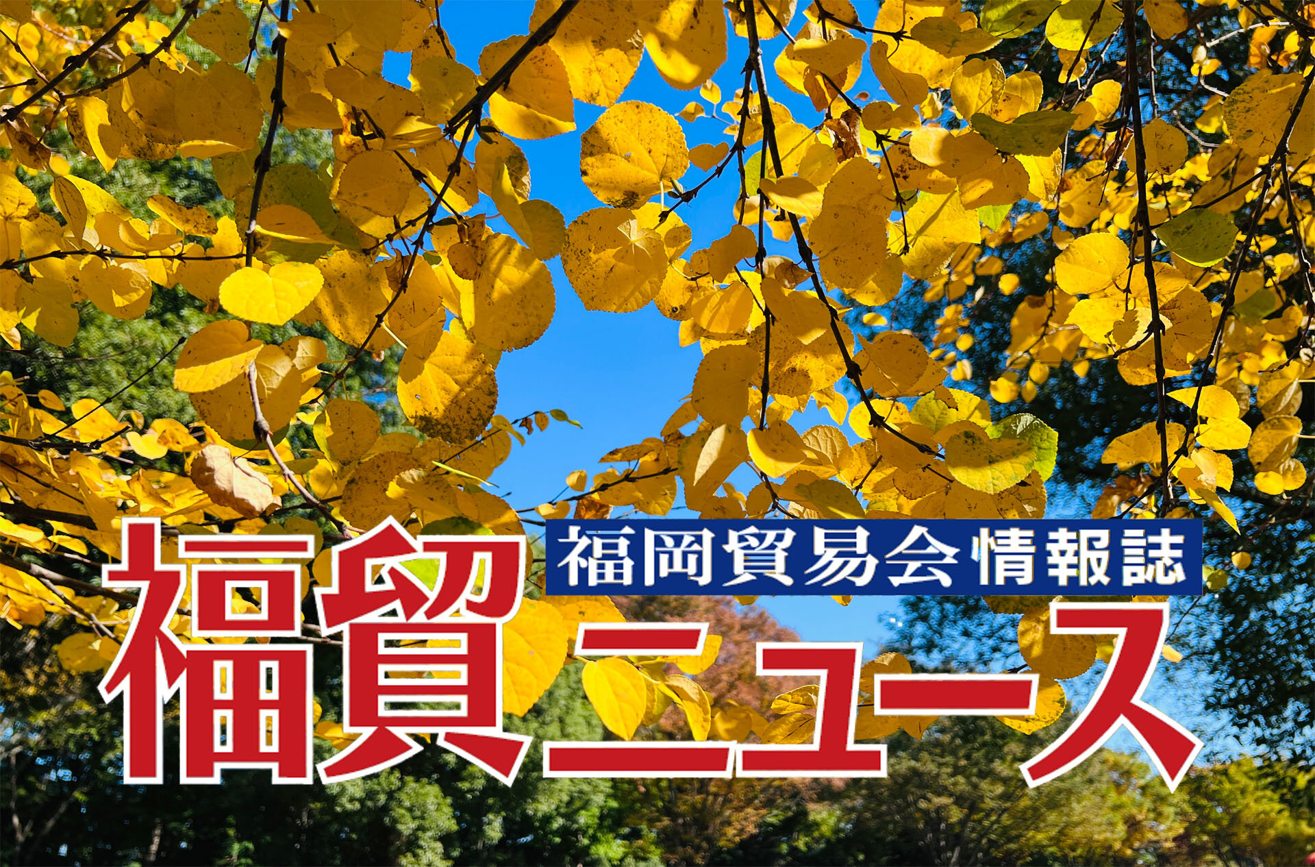 福岡貿易会 会報誌 第56号に掲載