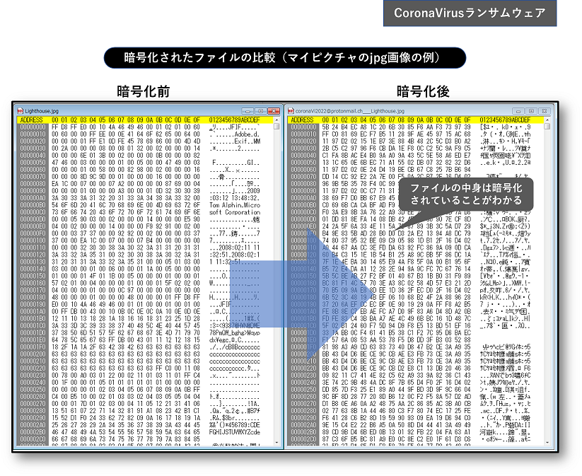 図31