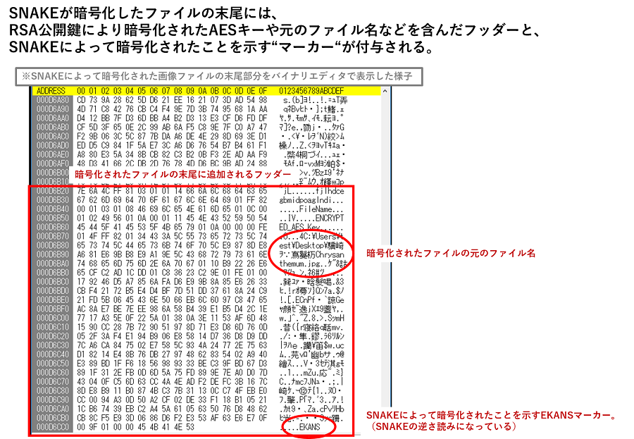 図19