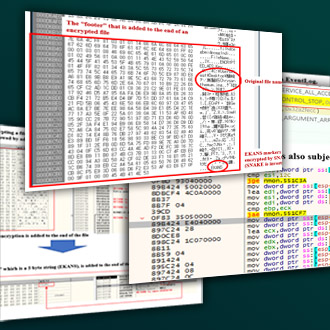 Understanding internal structure of the SNAKE(EKANS) ransomware