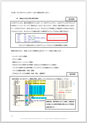 解析レポートのサンプル