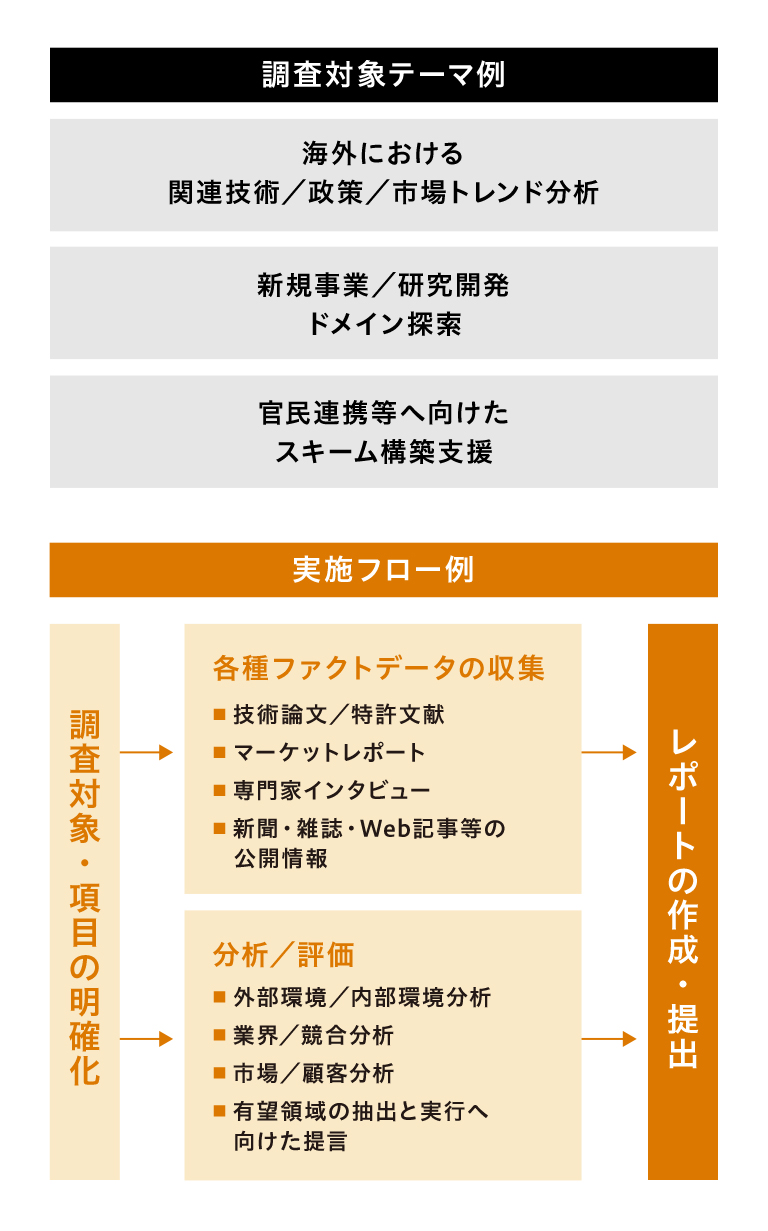 実施フロー例